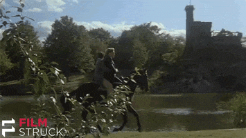 peter o'toole horse GIF by FilmStruck