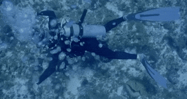jeremiah tower scuba diving GIF by The Orchard Films