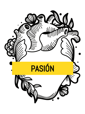 elizabethalbornozn #elizabethalbornoz #diseÃ±adoragrÃ¡fica #diseÃ±o #colibrÃ­es #graphicdesigner #diseÃ±adoramexicana GIF