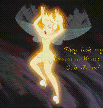dracaenawines tinkerbell paso robles cabernet franc GIF