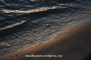 imasillypirate water beach ocean sea GIF