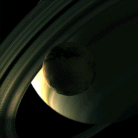 Animation Loop GIF by xponentialdesign
