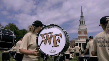 marching band wfu GIF