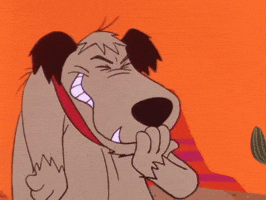 200.gif?cid=20e14a2a7o1fleqd9qsmyyqranapypfhqi5rzpfhs8zm9uhn&rid=200.gif&ct=g