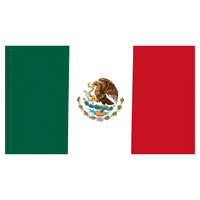 Viva Mexico GIF by Latinoji