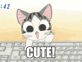 Anime gif. Chi from Chi’s Sweet Home sits in front of a keyboard that’s three times bigger than the little kitten. Chi happily types with her little paws. Text, “Cute!”