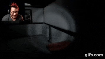 veronikarocha youtuber markiplier jumpscare GIF