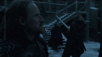 viselaba game of thrones got jon snow benfica GIF
