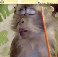 mirror  GIF