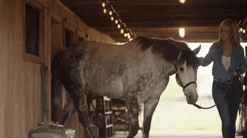 country music horses GIF by Clare Dunn