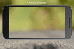 WSGifs  GIF