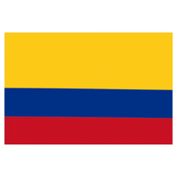 Flag Colombia GIF by Latinoji