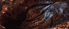 kawannitortega dragon GIF