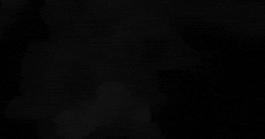 Alligator Swimming GIF by University of Florida