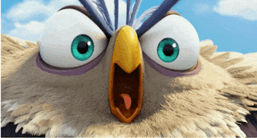 the angry birds movie hate GIF by Angry Birds