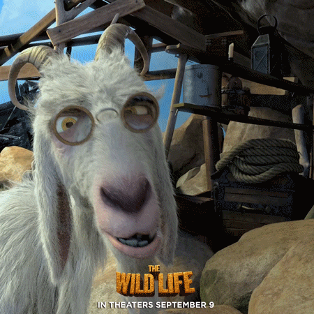 the wild life lol GIF by Lionsgate