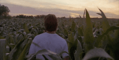 They Will Come Field Of Dreams GIF by Top 100 Movie Quotes of All Time