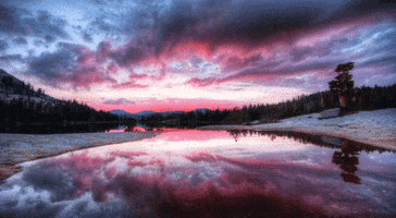 minimalminimal  GIF