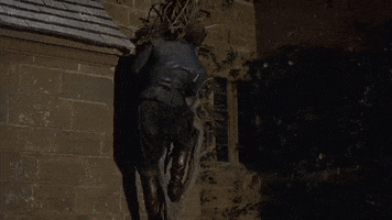 teganameliarose-wildehenchie  GIF
