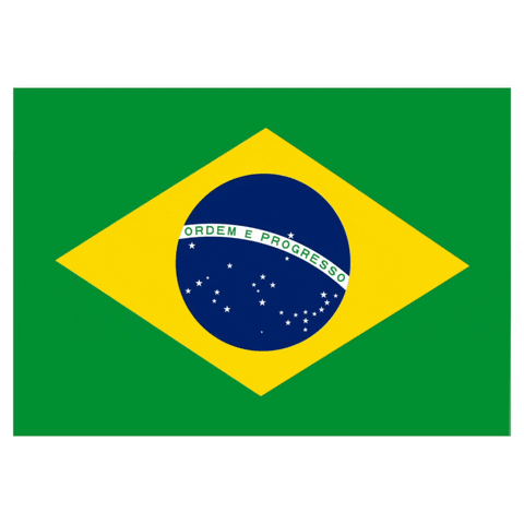 Flag Brazil GIF by Latinoji