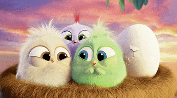 laugh nest GIF by Angry Birds