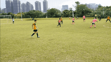 yu-chenliu football u31 GIF