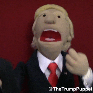thetrumppuppet excited angry text trump GIF