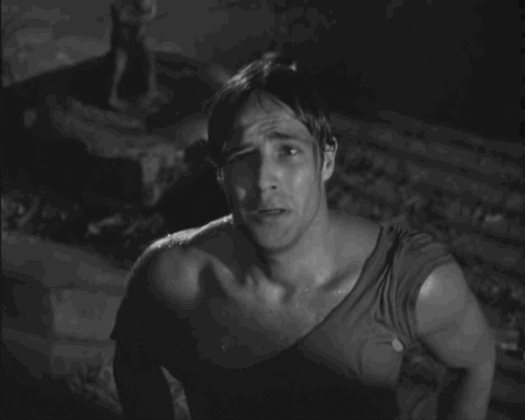 marlon brando stella GIF by Top 100 Movie Quotes of All Time