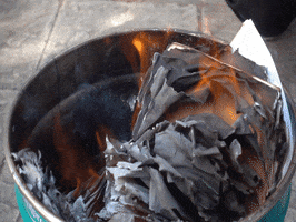 200.gif?cid=fc005b08f7327eb6227c8f8da38b29a4179ce85c96707f01&rid=200.gif&ct=g