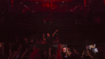 club tiesto live GIF by Tiësto