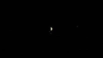 vutrutrongtamtay juno GIF