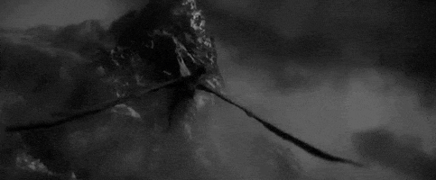 kawannitortega dragon GIF