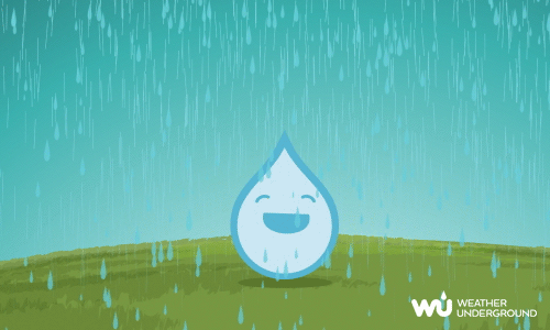 20+ Gif Funny Cartoon Laughing Background