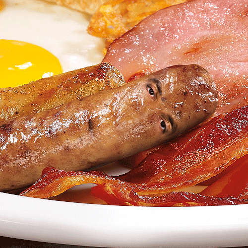 GIF by Justin Gammon Find & Share on GIPHY