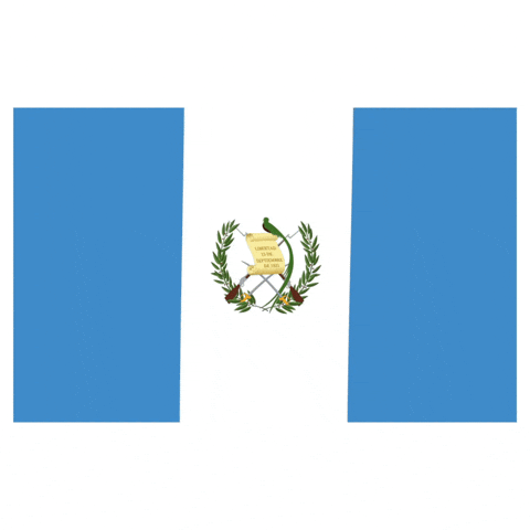 Flag Guatemala GIF by Latinoji