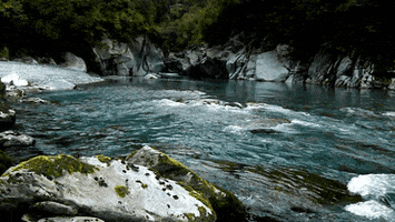 stevelordpottyreekie new zealand west coast kokatahi river GIF