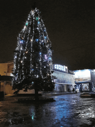 victorian cristmass-tree near sespel GIF
