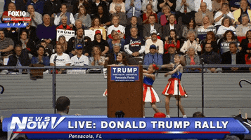 alfredwkng donald trump rally GIF