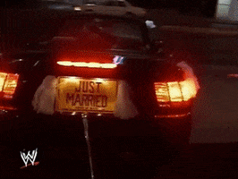just married wrestling GIF by WWE