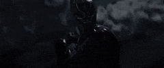black panther GIF by ScreenJunkies