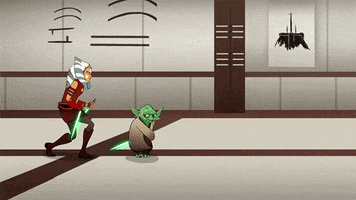 Forces Of Destiny Teach You GIF by Star Wars