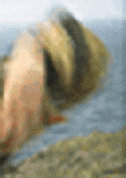 200.gif?cid=fc005b08ce5791ca55a0e0300d619d4a601966a19752ecf7&rid=200.gif&ct=g