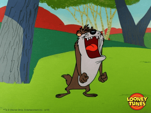 Giphy - Angry Tazmanian Devil GIF by Looney Tunes