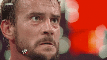 Cm Punk Wrestling GIF by WWE
