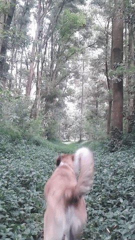 My Babe GIF