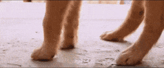 Music Video Waterbed GIF by The Chainsmokers