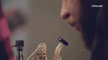 weed smoking GIF by FLOPHOUSE