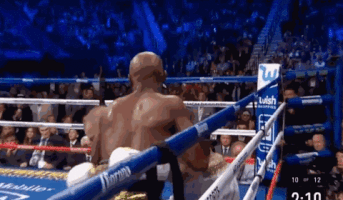 glebkorolenko mcgregorvsmayweatherko GIF