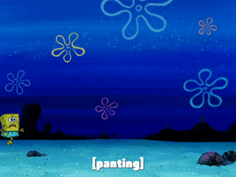 200.gif?cid=fc005b08d3dec0b832fa6634b04dfe35d8ea9fe9fcd281e2&rid=200.gif&ct=g