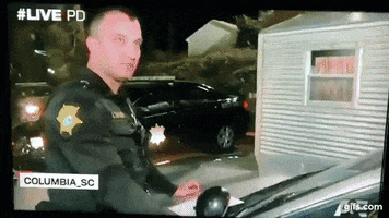 loderstone  GIF